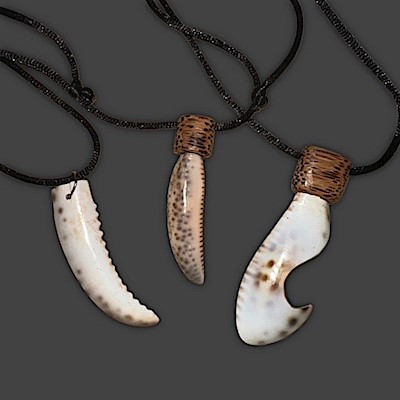 Shark Tooth Necklace                                                       